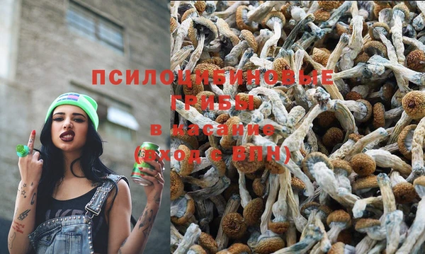 стафф Лабытнанги